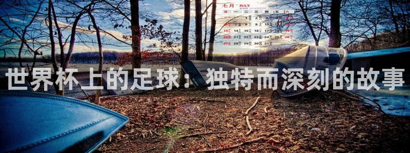 航纵横app下载：世界杯上的足球：独特而深刻的故事