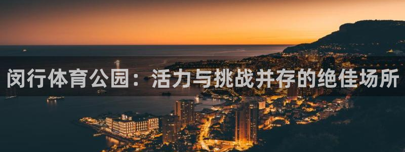 纵横app下载安装：闵行体育公园：活力与挑战并存的绝佳场所