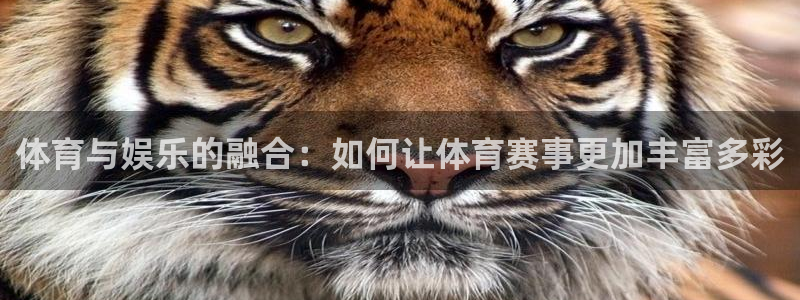 中国纵横国道：体育与娱乐的融合：如何让体育赛事更加丰富多彩