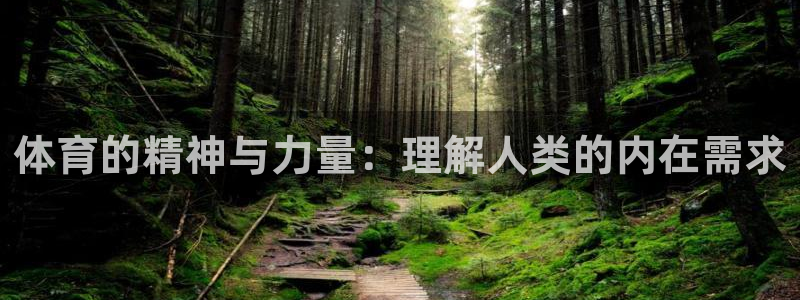 深圳纵横国际旅行社：体育的精神与力量：理解人类的内在需求