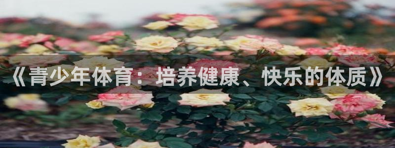 纵横国际下载网址：《青少年体育：培养健康、快乐的体质》