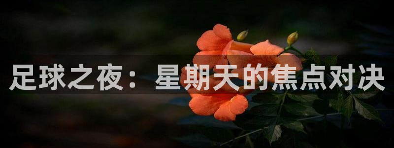 航纵横app下载：足球之夜：星期天的焦点对决