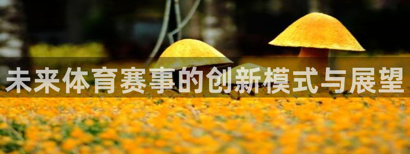 重庆纵横国际写字楼：未来体育赛事的创新模式与展望