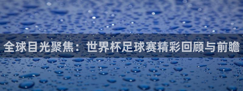 纵横中文网是哪个app：全球目光聚焦：世界杯足球赛精彩回顾与前瞻
