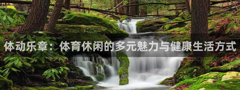 航程纵横app：体动乐章：体育休闲的多元魅力与健康生活方式