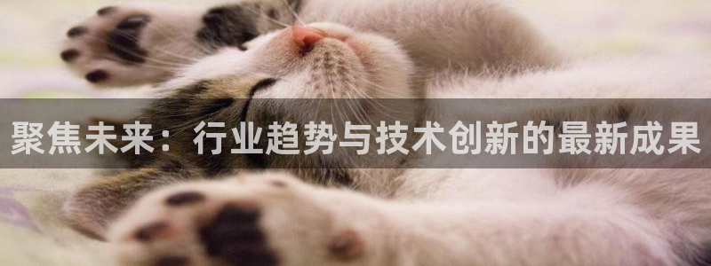深圳纵横国际旅行社：聚焦未来：行业趋势与技术创新的最新成果